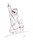  2013 anthro anus back badger breasts clothing crouching elbow_gloves female fur gloves grey_fur hi_res legwear looking_back mammal mustelid nateday nipples pole pussy side_boob simple_background solo stockings stripper_pole white_background 