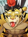  colored cum erection feline kotori male male/male mammal nude orgasm penis tiger 