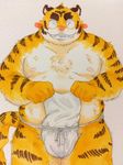 clothing colored donuts72 feline fundoshi male mammal simple_background solo tiger underwear white_background 