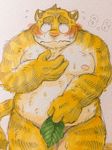  blush donuts72 embarrassed feline male mammal nude simple_background solo tiger white_background 