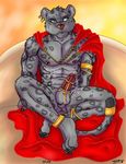 balls cape chain clothing clownboy1 cum erection feline free general invalid_color invalid_tag king leopard male mammal muscular nipples nude penis piercing precum relaxing robe royalty sitting spots throne zeis 