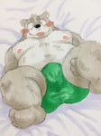  bear bed bulge clothing colored cute donuts72 male mammal solo underwear 