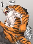  abs anal anthro biceps big_muscles black_fur cum eyes_closed fangs feline flakjacket0204 fur male male/male mammal muscular muscular_male nude open_mouth orange_fur pecs pink_nose sex simple_background stripes sweat teeth text tiger tongue translation_request white_fur 