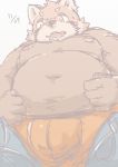  2016 ailurid anthro belly blush bulge clothing humanoid_hands kota&acute; male mammal moobs navel nipples overweight overweight_male red_panda simple_background solo underwear white_background 
