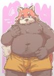  2016 ailurid anthro belly blush clothing humanoid_hands kota&acute; male mammal moobs navel nipples overweight overweight_male red_panda shorts simple_background solo 