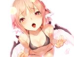  animal_ears ayagi_daifuku bent_over bird_wings blush bra dutch_angle fangs looking_at_viewer mystia_lorelei navel no_hat no_headwear open_mouth panties pink_hair red_eyes short_hair signature simple_background solo stomach tongue tongue_out touhou underwear underwear_only white_background wings 