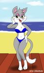  2015 animaniacs anthro beach big_breasts bikini breasts cat cleavage clothed clothing feline female green_eyes kikerodz mammal rita_(animaniacs) seaside swimsuit warner_brothers 