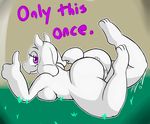  anus breasts butt caprine chubby fangs female fionthebunny goat horn looking_at_viewer mammal monster nude pussy simple_background smile text toriel undertale video_games 