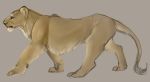  colored_sketch feline feral fur lion mammal mollish pantherine simple_background sketch solo tan_fur 