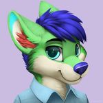  2015 anthro canine clothed clothing cute fox fur green_fur hair jamesfoxbr looking_at_viewer male mammal simple_background smile solo 