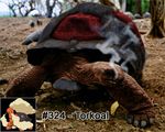  epic nintendo photoshop pokemon realistic torkoal 