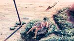  barefoot dress grass long_hair original pink_hair pole shadow sitting solo tire yakkun 