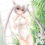  animal_ears cat_ears flower highres impossible_clothes impossible_shirt leotard long_hair norita original plant red_eyes shirt silver_hair solo twintails 