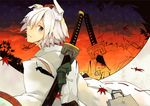  animal_ears autumn_leaves bad_id bad_pixiv_id detached_sleeves grey_eyes hat hichiko inubashiri_momiji katana long_sleeves looking_at_viewer short_hair silver_hair solo sunset sword tokin_hat touhou weapon white_hair wide_sleeves wolf_ears 