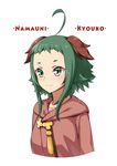  animal_ears bobomaster green_eyes green_hair kasodani_kyouko namauni parody short_hair smile solo style_parody touhou 