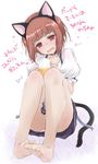  alcohol animal_ears barefoot beer beer_mug blush brown_eyes brown_hair cat_ears cat_tail cup dirndl dress drunk fake_animal_ears feet german_clothes hairband holding holding_cup kantai_collection oktoberfest open_mouth panties panty_peek short_hair sitting solo tail translation_request underwear white_panties yumesato_makura z3_max_schultz_(kantai_collection) 