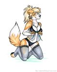  canine clothed clothing dog female kneeling korrok lingerie looking_at_viewer mammal sambers_(character) skimpy solo 