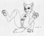  anus bottomless canine clothed clothing ecmajor female greyscale half-dressed hindpaw mammal monochrome paws presenting pussy skimpy solo young 