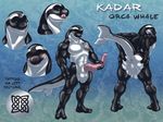  anthro anus balls black_skin blush butt cetacean holding_penis huge_penis kadar_aban licking licking_lips male mammal marine model_sheet multiple_poses muscular orca penis plantigrade pose prehensile_penis presenting presenting_anus sabretoothed_ermine smile solo spread_butt spreading tapering_penis tattoo tongue tongue_out whale white_skin 
