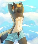  abs anthro blonde_hair brown_fur canine clothed clothing cloud fur green_eyes hair half-dressed hands_behind_head male mammal navel no_pupils okka outside smile swimsuit three-quarter_portrait topless 