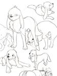  annoyed backsack balls black_and_white canine digital_drawing_(artwork) digital_media_(artwork) dog duo equine erection eyes_closed feral front_view horse horse-loving_dog_(marimo) implied_oral knot line_art looking_away looking_pleasured lying male male/male mammal manmosu_marimo monochrome multiple_images on_front opencanvas penis quadruped rear_view sheath sketch solo standing sweat tongue tongue_out 