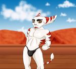  2015 alister anthro brown_eyes bulge clothed clothing cloud fur half-dressed lombax looking_at_viewer male mammal multicolored_fur nyarengadget outside pecs pinup pose ratchet_and_clank red_fur red_stripes sky smile solo speedo standing stripes swimsuit toned topless two_tone_fur video_games white_fur yellow_sclera 