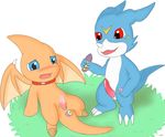  anal anal_insertion anal_penetration animal_genitalia anus blue_eyes blush claws cum cum_on_penis digimon dildo duo eraquis grass insertion lying male male/male neopets open_mouth penetration penis precum red_eyes sex_toy shoyru simple_background smile tapering_penis veemon video_games 