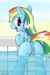  anatomically_correct anatomically_correct_anus anatomically_correct_pussy anus big_eyes blue_skin clitoris equine female friendship_is_magic hair horse looking_back mammal multicolored_hair my_little_pony open_mouth pony pool_(disambiguation) pussy rainbow_dash_(mlp) rainbow_hair selenophile smile solo tongue wings 