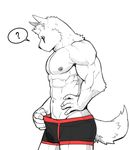  6graycloudp ? abs biceps canine clothed clothing half-dressed male mammal muscular nipples pecs piercing precum pubes solo topless underwear wolf 