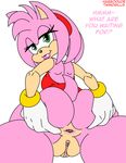  amy_rose anthro anus big_butt butt english_text female greyscale habbodude hedgehog looking_at_viewer looking_back mammal monochrome pussy simple_background smile solo sonic_(series) spreading text twindrills 