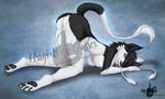  anthro areola ass_up black_hair blue_background breasts butt canine distracting_watermark female fur hair half-closed_eyes invalid_tag looking_at_viewer mammal multicolored_fur nipples nude pussy simple_background smile solo two_tone_fur usagiwithglasses watermark white_fur wolf 