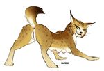  anthro breasts digitoxici feline female feral green_eyes looking_back lynx mammal 