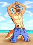  anthro beach clothed clothing fur half-dressed invalid_tag looking_at_viewer male outside seaside shirokoi smile ych 