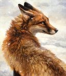  2015 ambiguous_gender back brown_eyes brown_fur canine feral fox fur kenket mammal outside painting pointy_ears portrait simple_background snow solo white_background white_fur 