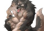  abs canine captainjohkid flackjacket0204 male mammal muscular nude pecs simple_background white_background wolf 