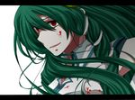  bad_id bad_pixiv_id blood detached_sleeves frog fujisaki_miyabi green_hair hair_ornament kochiya_sanae long_hair red_eyes snake solo touhou 