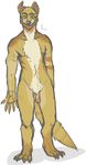  2014 anapnea anthro balls claws digitigrade ear_piercing flaccid looking_at_viewer mammal maxwell_(anapnea) mongoose navel notched_ear nude penis piercing simple_background solo standing tattoo toe_claws white_background yellow_eyes 
