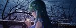  bare_tree blue_eyes cloud cloudy_sky english frog_hair_ornament fur_trim glowing green_eyes green_hair hair_ornament hair_tubes hands_up kochiya_sanae light long_hair mocco_(sachima) night night_sky profile reflective_eyes sky sleeveless smile snake_hair_ornament snow snowing solo touhou translation_request tree upper_body 