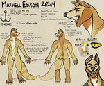  2014 anapnea anthro balls butt claws digitigrade fangs flaccid front_view male mammal maxwell_(anapnea) model_sheet mongoose notched_ear nude open_mouth penis rear_view sharp_teeth smile solo tattoo teeth toe_claws whiskers yellow_eyes 