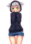 animal_ears blush cat_ears fast-runner-2024 green_eyes grey_hair highres looking_at_viewer solo 