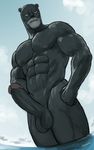  1boy abs artist_name blue_sky fairy_tail hydaria male_focus muscle nude pantherlily pecs penis sky solo testicles 