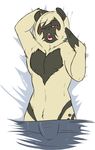  2015 anthro blush fur girly hair locosaltinc male mammal markings monkey nipples nude open_mouth primate simian simple_background solo stretching tongue yawn 