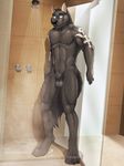  abs biceps black_fur canine dream_and_nightmare fur male mammal muscular muscular_male pecs shower solo tattoo wolf 
