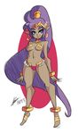  bigdead93 dark_skin earrings hoop_earrings jewelry pointy_ears ponytail purple_eyes purple_hair shantae shantae_(character) 