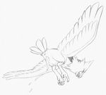  2015 anus avian beak bird cum doodle feathered_wings feathers feral flying looking_down male monochrome nintendo orgasm pencil_(artwork) penis pok&eacute;mon rear_view simple_background sketch solo spearow spread_wings talons traditional_media_(artwork) video_games white_background wings yaroul 
