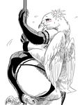  anthro avian bird blush bubonikku chubby claws clothing dancing dove elbow_gloves feathers female flower flower_in_hair garter gloves legwear monochrome plant pole pole_dancing simple_background solo sweat thigh_highs white_background wings 