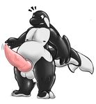  anthro balls cetacean chubby erection male mammal marine nude onigrift orca penis simple_background solo whale 