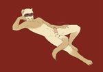  2015 anthro balls brown_eyes canned_(artist) erection ferret fur half-closed_eyes humanoid_penis looking_at_viewer lying male mammal mustelid navel nude on_back penis pink_nose pinup pose red_background simple_background solo tan_fur whiskers 