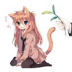  1girl animal_ears bad_id bad_pixiv_id black_legwear blue_eyes blush cat_ears cat_tail ikeuchi_tanuma kemonomimi_mode long_hair neon_genesis_evangelion neon_genesis_evangelion_gakuen_datenroku open_mouth orange_hair pantyhose school_uniform simple_background sitting solo_focus souryuu_asuka_langley tail wariza white_background 