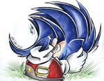  blue_fur buckle clothing eyes_closed footwear fur gloves legwear pink-fur shoes socks sonic_(series) sonic_the_hedgehog 